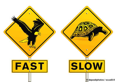 Slow & Fast